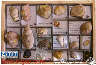  مجموعه اختصاصی شکم پایان 
